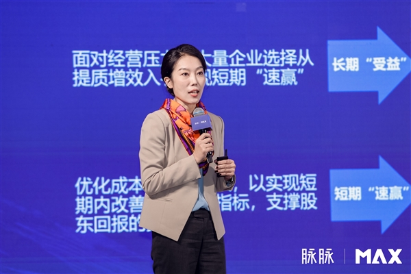 脉脉2024MAX年度职场盛典举行林凡现场发布职得去公司榜(图5)