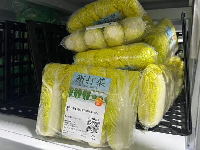 天气虽冷但是“菜篮子”稳当当(图1)