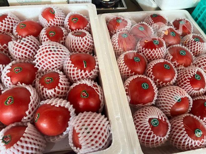 天气虽冷但是“菜篮子”稳当当(图3)