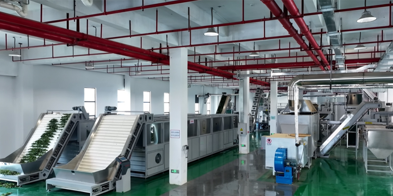 绿电点金六堡飘香(图2)