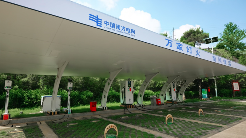 绿电点金六堡飘香(图3)