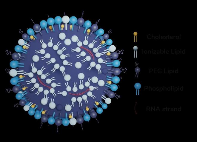 AI制药赛道杀出中国黑马(图4)