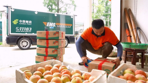 九游体育：全球L4自动驾驶领军企业「九识智能」完成近3亿美元B轮融资(图4)