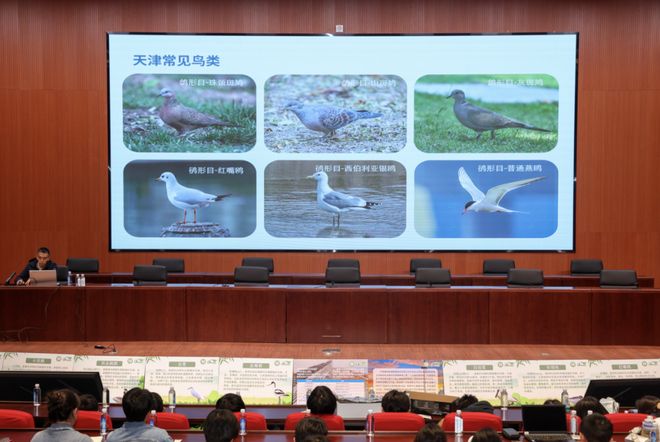 把课堂搬到海边！泰达学子走进“候鸟直播间”(图3)