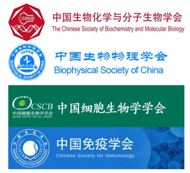 Cell Rep Med丨陈雪利团队提出结合表面增强拉曼光谱（SERS）与深度学习的急性白血病智能检测方法(图1)