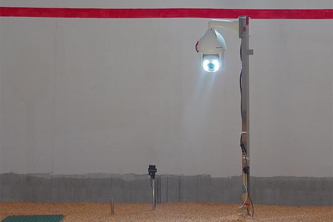 气膜仓储粮、AI虫情监测分析大国粮仓科技范儿十足(图6)