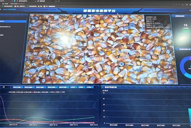 气膜仓储粮、AI虫情监测分析大国粮仓科技范儿十足(图7)