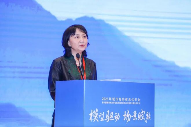 会议聚焦“模型驱动场景赋能”2025城市规划信息化年会在佛山召开(图6)