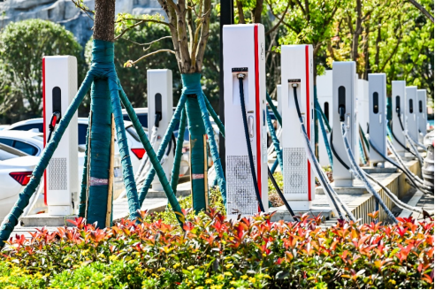 九游体育：从花江峡谷大桥出发：探访“多彩贵州移起向新”(图6)