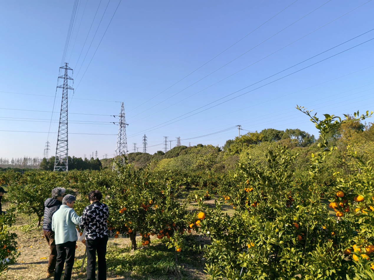 学校举办学习贯彻党的二十届四中全会精神离退休党支部书记实践培训班(图5)
