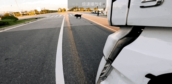 400辆Robotruck在内蒙盈利了(图8)