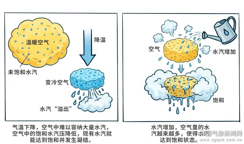 科普看台丨解码冬雾：认知、防范、科研全解析