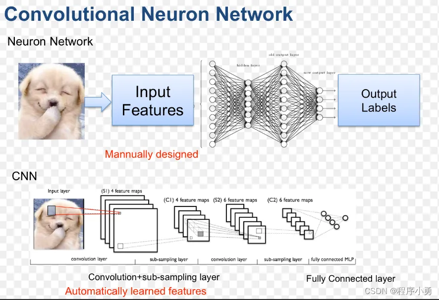 深度学习算法概念介绍(图1)