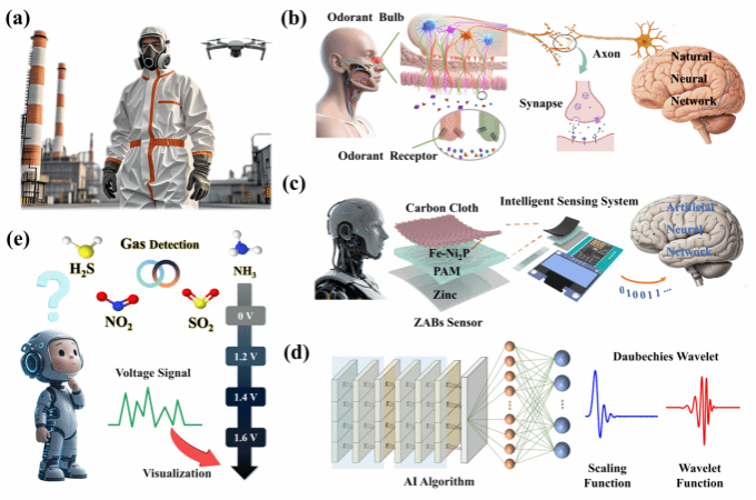 徐锡金王晓在ACSSensors上发表深度学习算法辅助柔性自供电气体传感相关研究成果(图1)