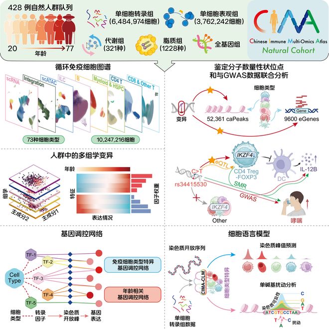 AI医疗下半场：从“算法创新”迈向“基建革命”(图2)