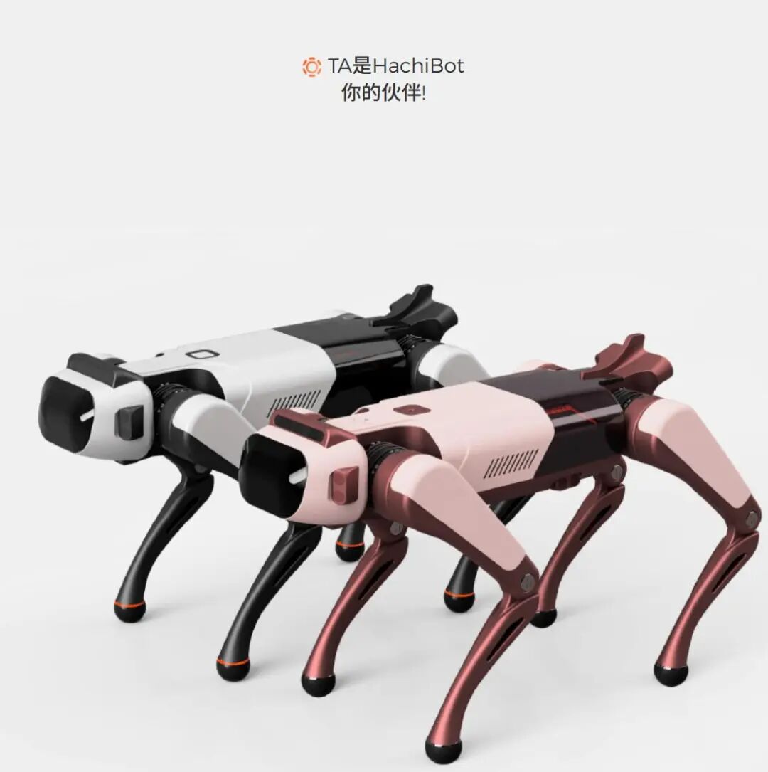 AI宠物机器人如此小众的赛道红杉也投了？(图3)