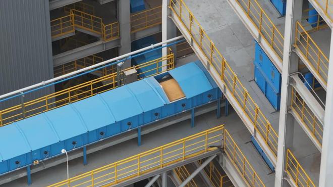 九游智能体育科技：总投资58亿元临港粮食仓储物流集散中心项目调试运行(图2)