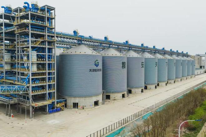 九游智能体育科技：总投资58亿元临港粮食仓储物流集散中心项目调试运行(图1)